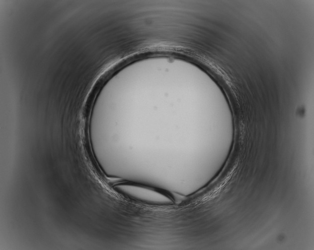 X0000099961029200806201332