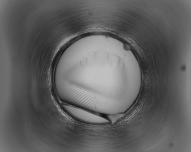 X0000099961030200806201332