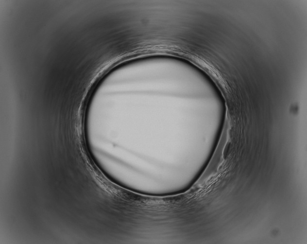 X0000099961031200806201332