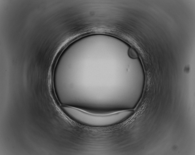 X0000099961032200806201332