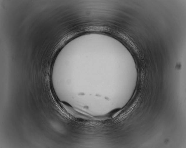 X0000099961033200806201332