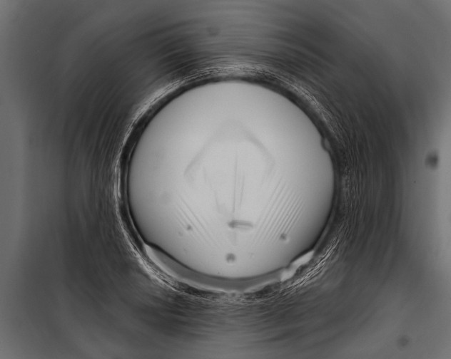 X0000099961034200806201332