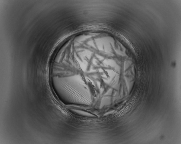 X0000099961035200806201332