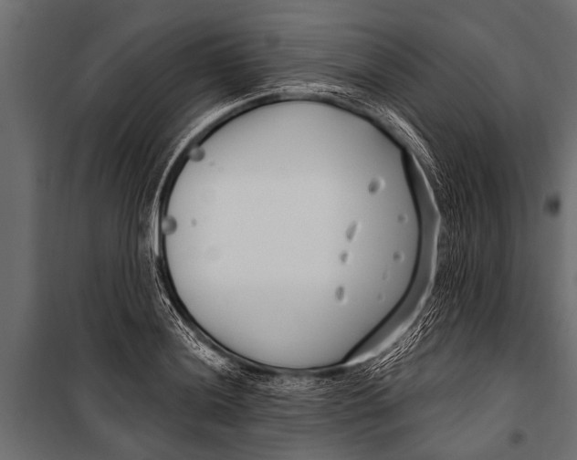 X0000099961036200806201332