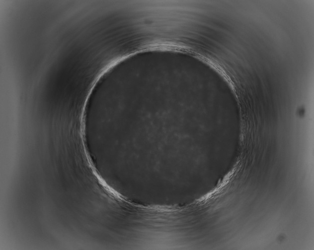 X0000099961037200806201332