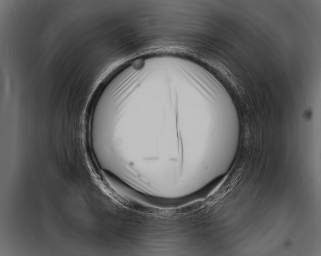 X0000099961038200806201332