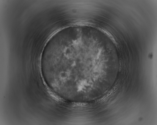 X0000099961039200806201332