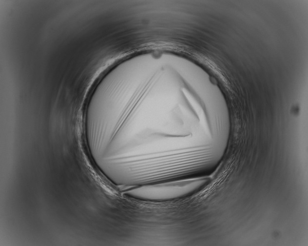 X0000099961040200806201332