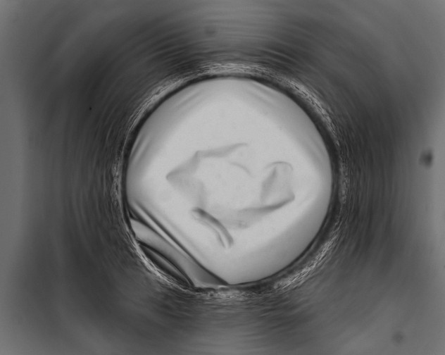 X0000099961041200806201332