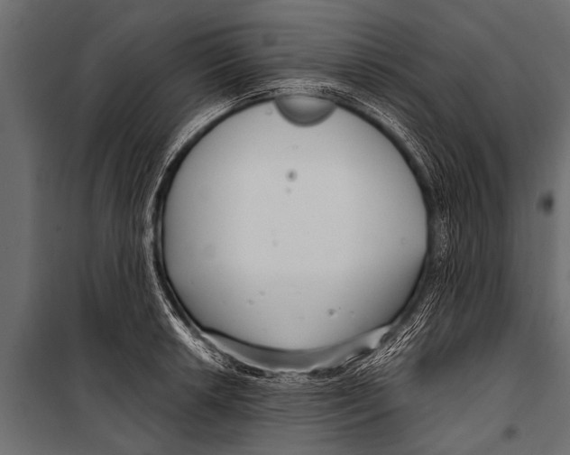 X0000099961042200806201332