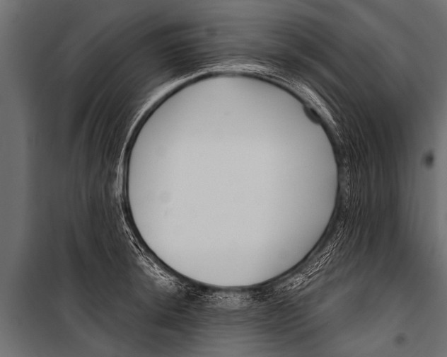 X0000099961044200806201332