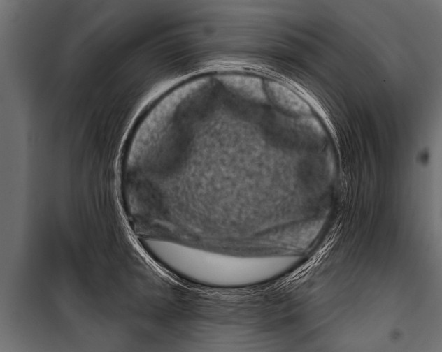 X0000099961045200806201332