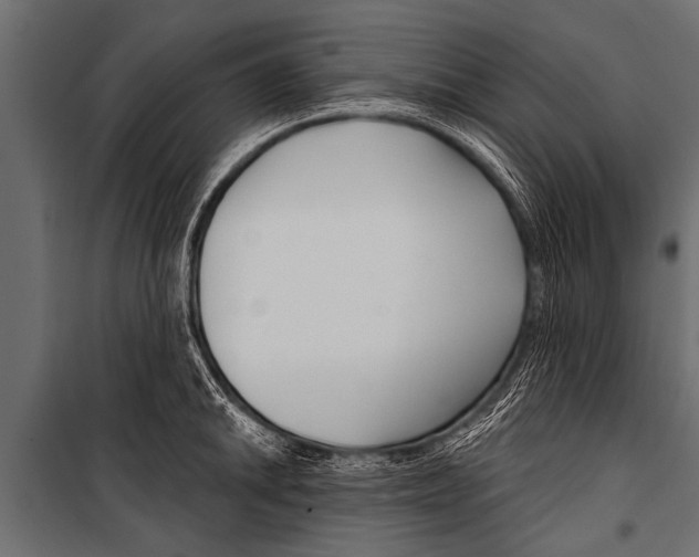 X0000099961046200806201332