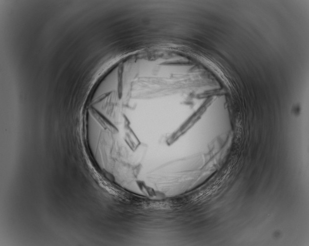 X0000099961047200806201332