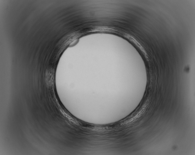 X0000099961049200806201333