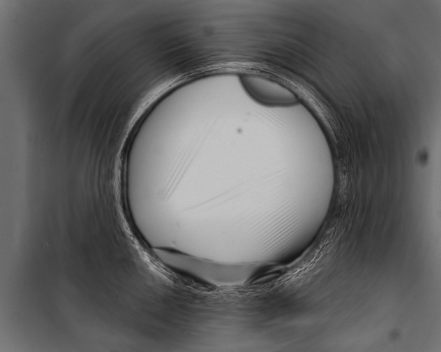 X0000099961050200806201333