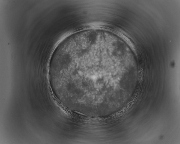 X0000099961051200806201333