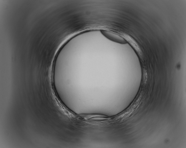 X0000099961052200806201333