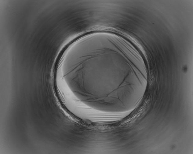 X0000099961053200806201333