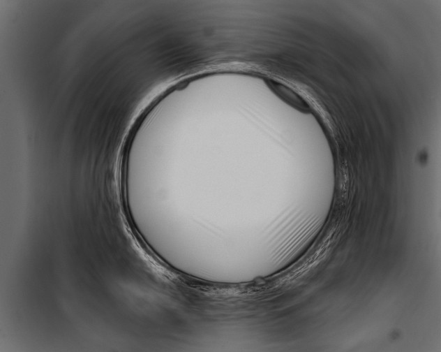 X0000099961054200806201333