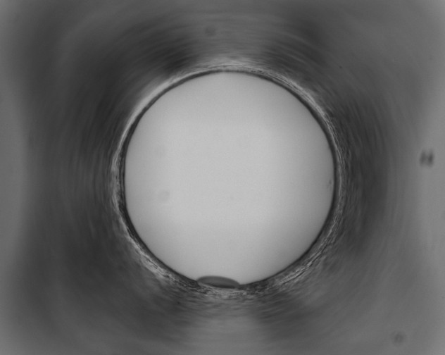 X0000099961056200806201333