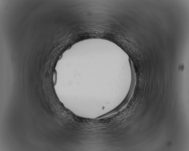 X0000099961057200806201332