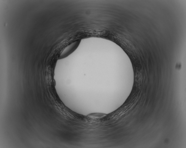 X0000099961058200806201332