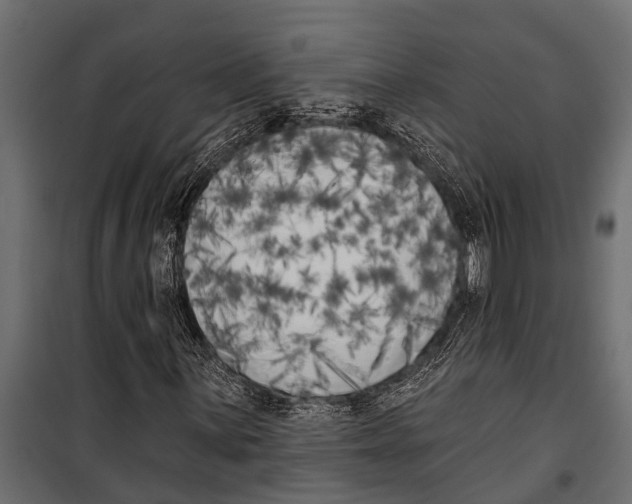 X0000099961059200806201332