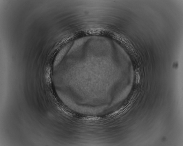 X0000099961060200806201332