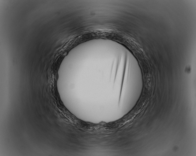 X0000099961061200806201332