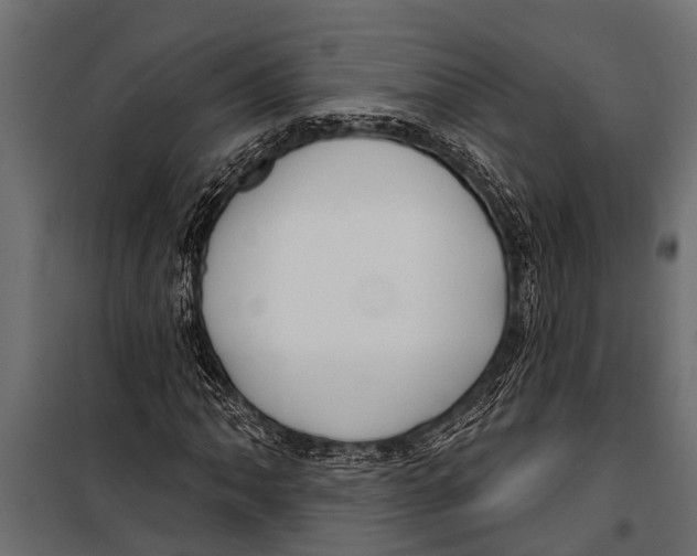 X0000099961062200806201332