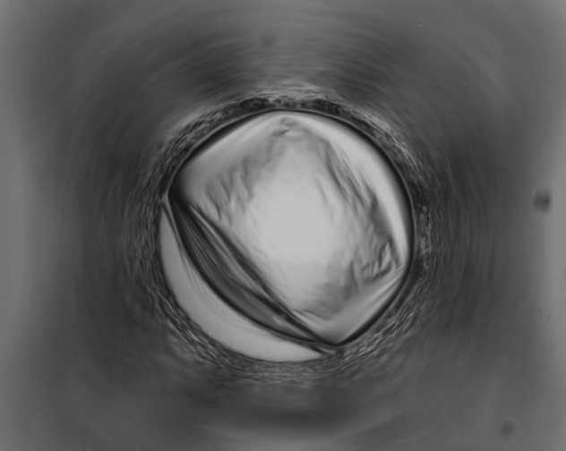 X0000099961063200806201332