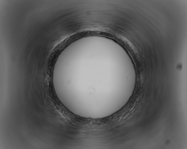 X0000099961064200806201332