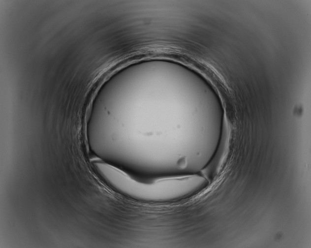 X0000099961065200806201332