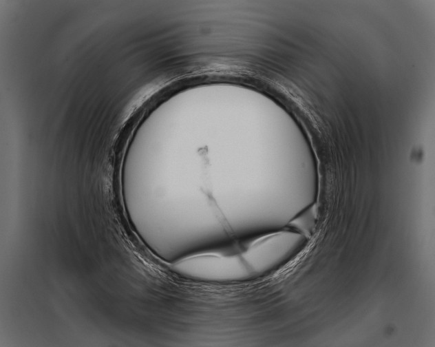 X0000099961066200806201332