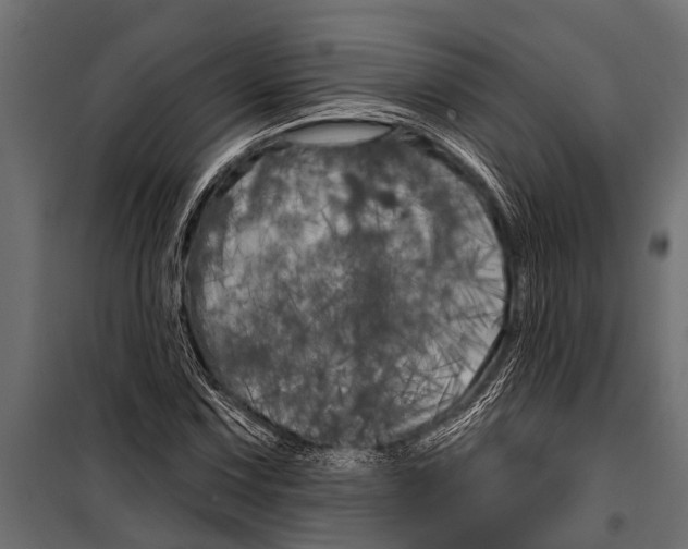 X0000099961067200806201332