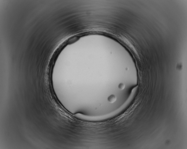 X0000099961068200806201332