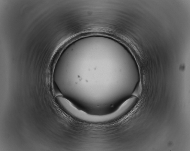 X0000099961069200806201332