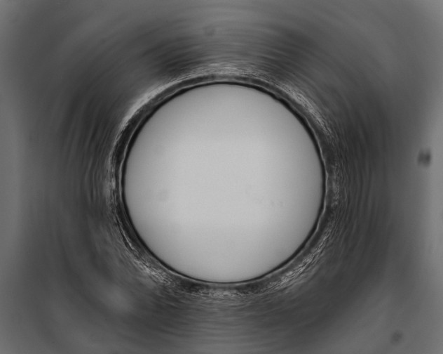 X0000099961070200806201332