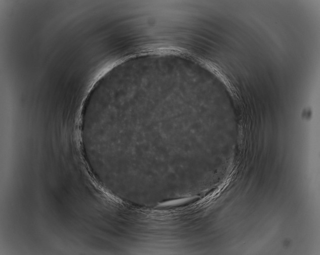 X0000099961071200806201332