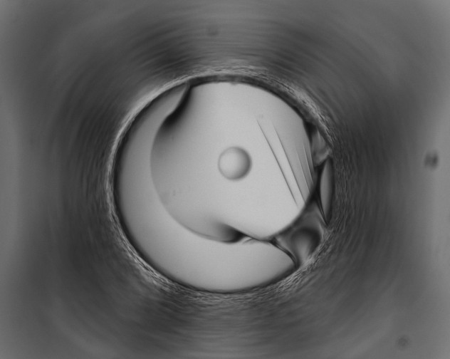 X0000099961072200806201332