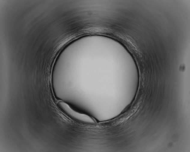 X0000099961073200806201332