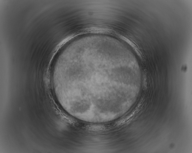 X0000099961074200806201332