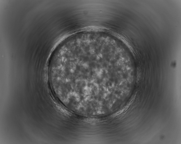 X0000099961075200806201332