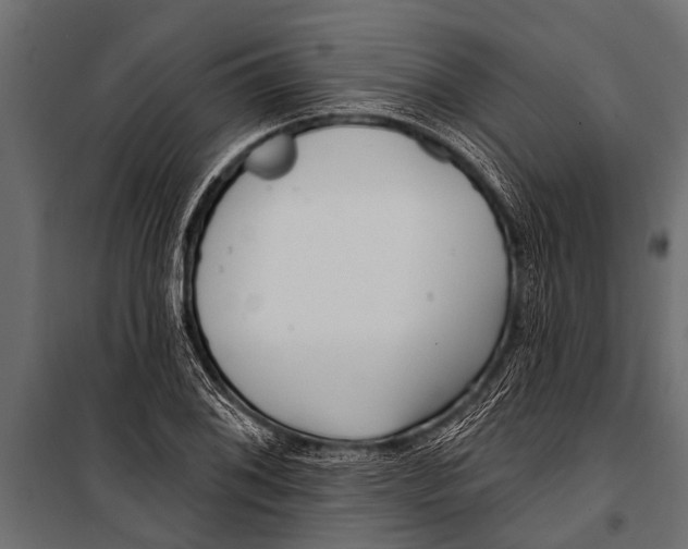 X0000099961076200806201332