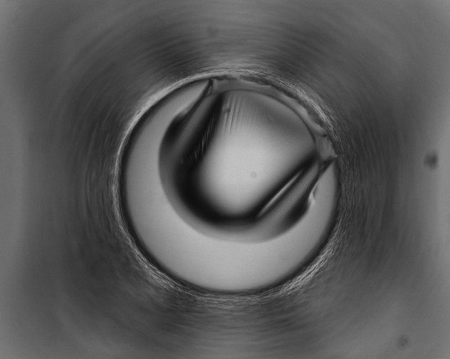 X0000099961077200806201332