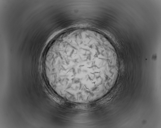 X0000099961078200806201332