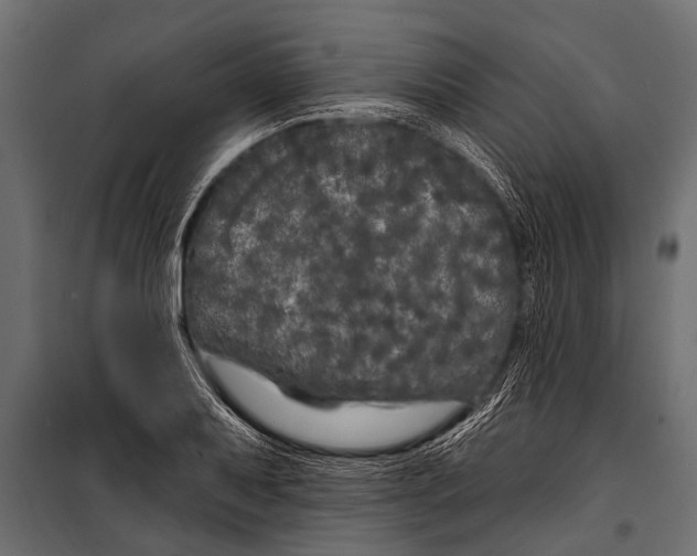 X0000099961079200806201332