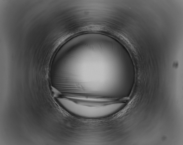 X0000099961081200806201332