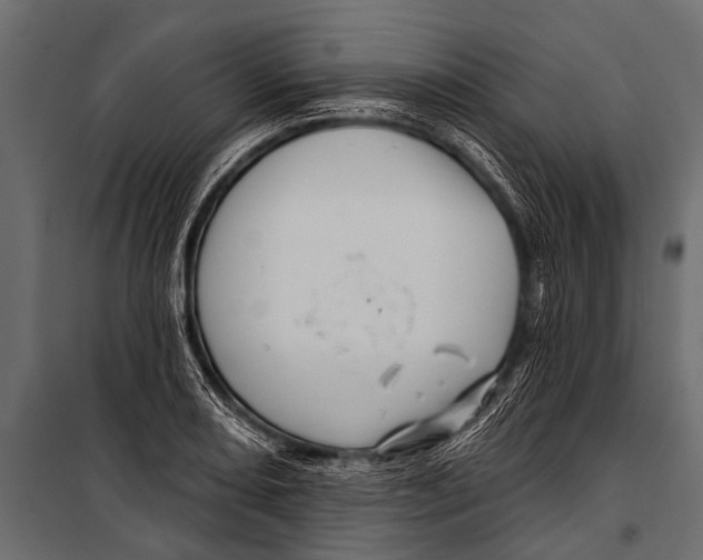 X0000099961082200806201332